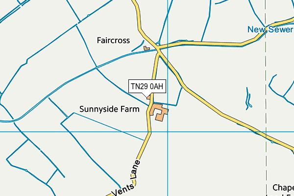 TN29 0AH map - OS VectorMap District (Ordnance Survey)