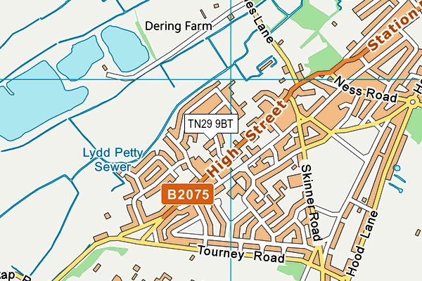 TN29 9BT map - OS VectorMap District (Ordnance Survey) TN29 9BT map - OS VectorMap District (Ordnance Survey)