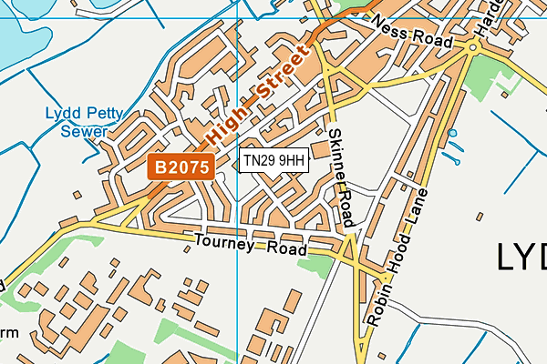 TN29 9HH map - OS VectorMap District (Ordnance Survey) TN29 9HH map - OS VectorMap District (Ordnance Survey)