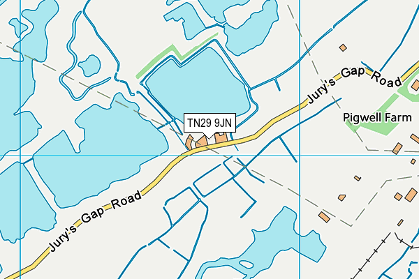 TN29 9JN map - OS VectorMap District (Ordnance Survey) TN29 9JN map - OS VectorMap District (Ordnance Survey)