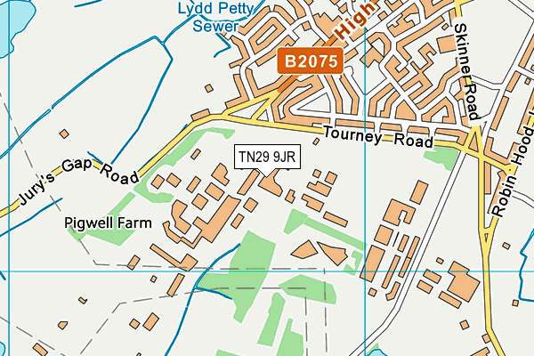 TN29 9JR map - OS VectorMap District (Ordnance Survey) TN29 9JR map - OS VectorMap District (Ordnance Survey)