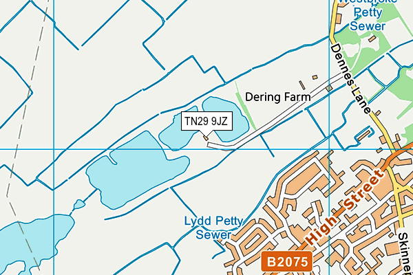 TN29 9JZ map - OS VectorMap District (Ordnance Survey) TN29 9JZ map - OS VectorMap District (Ordnance Survey)