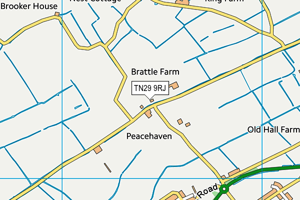 TN29 9RJ map - OS VectorMap District (Ordnance Survey) TN29 9RJ map - OS VectorMap District (Ordnance Survey)