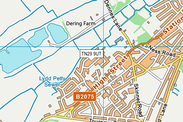 TN29 9UT map - OS VectorMap District (Ordnance Survey) TN29 9UT map - OS VectorMap District (Ordnance Survey)