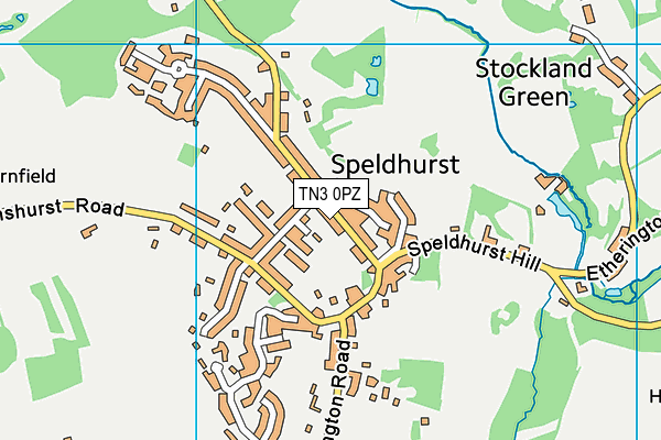 TN3 0PZ map - OS VectorMap District (Ordnance Survey) TN3 0PZ map - OS VectorMap District (Ordnance Survey)