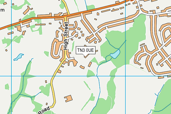 TN3 0UE map - OS VectorMap District (Ordnance Survey) TN3 0UE map - OS VectorMap District (Ordnance Survey)