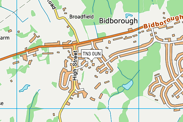 TN3 0UN map - OS VectorMap District (Ordnance Survey) TN3 0UN map - OS VectorMap District (Ordnance Survey)