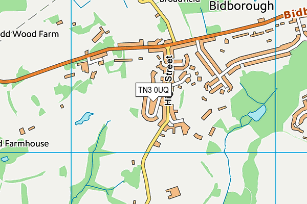TN3 0UQ map - OS VectorMap District (Ordnance Survey) TN3 0UQ map - OS VectorMap District (Ordnance Survey)