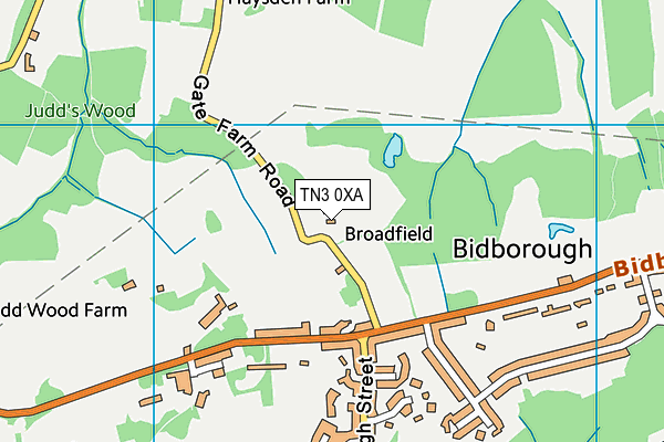 TN3 0XA map - OS VectorMap District (Ordnance Survey) TN3 0XA map - OS VectorMap District (Ordnance Survey)
