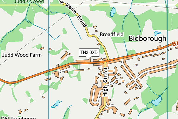 TN3 0XD map - OS VectorMap District (Ordnance Survey) TN3 0XD map - OS VectorMap District (Ordnance Survey)