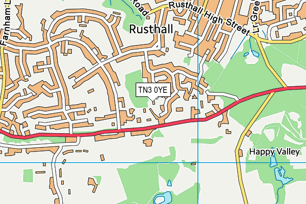 TN3 0YE map - OS VectorMap District (Ordnance Survey) TN3 0YE map - OS VectorMap District (Ordnance Survey)