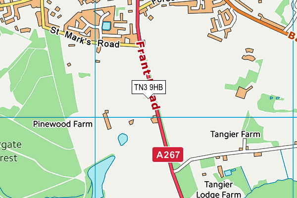 TN3 9HB map - OS VectorMap District (Ordnance Survey) TN3 9HB map - OS VectorMap District (Ordnance Survey)