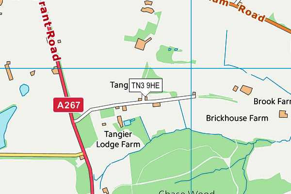 TN3 9HE map - OS VectorMap District (Ordnance Survey) TN3 9HE map - OS VectorMap District (Ordnance Survey)