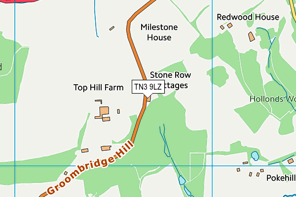 TN3 9LZ map - OS VectorMap District (Ordnance Survey) TN3 9LZ map - OS VectorMap District (Ordnance Survey)