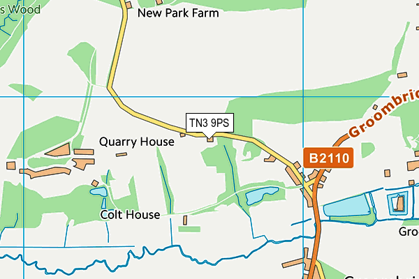 TN3 9PS map - OS VectorMap District (Ordnance Survey) TN3 9PS map - OS VectorMap District (Ordnance Survey)