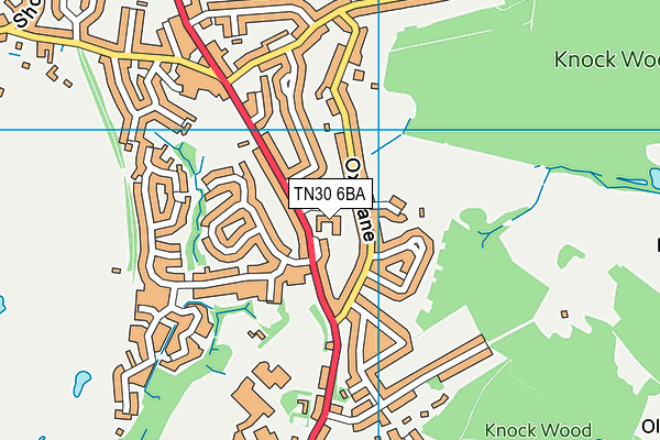 TN30 6BA map - OS VectorMap District (Ordnance Survey) TN30 6BA map - OS VectorMap District (Ordnance Survey)