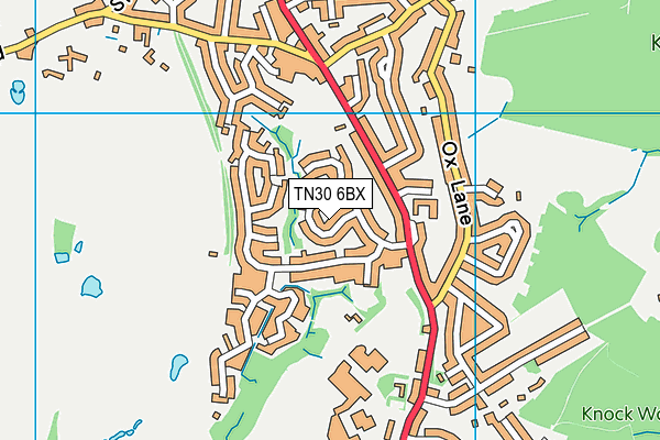 TN30 6BX map - OS VectorMap District (Ordnance Survey) TN30 6BX map - OS VectorMap District (Ordnance Survey)