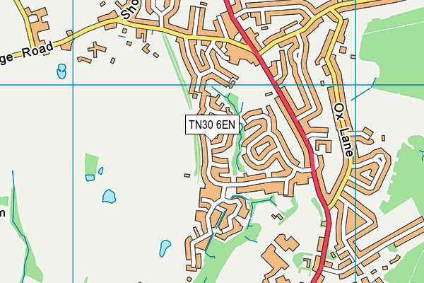 TN30 6EN map - OS VectorMap District (Ordnance Survey) TN30 6EN map - OS VectorMap District (Ordnance Survey)