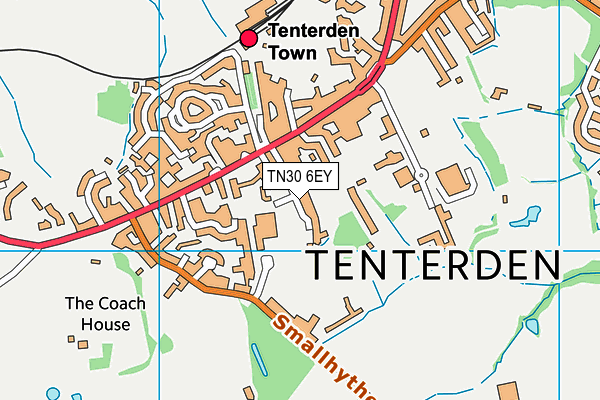 TN30 6EY map - OS VectorMap District (Ordnance Survey) TN30 6EY map - OS VectorMap District (Ordnance Survey)