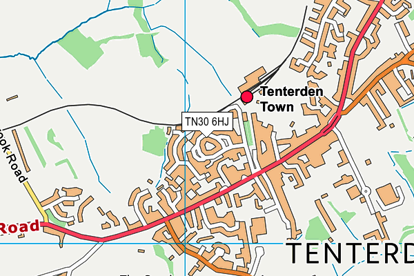 TN30 6HJ map - OS VectorMap District (Ordnance Survey) TN30 6HJ map - OS VectorMap District (Ordnance Survey)