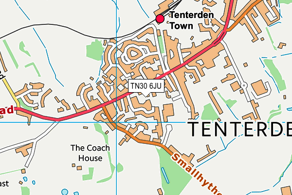 TN30 6JU map - OS VectorMap District (Ordnance Survey) TN30 6JU map - OS VectorMap District (Ordnance Survey)