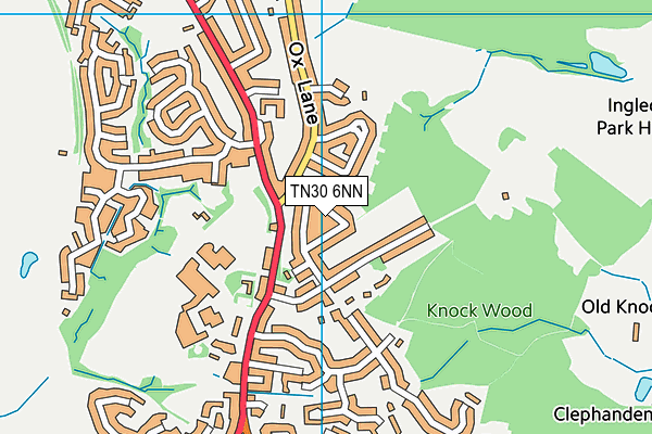 TN30 6NN map - OS VectorMap District (Ordnance Survey) TN30 6NN map - OS VectorMap District (Ordnance Survey)