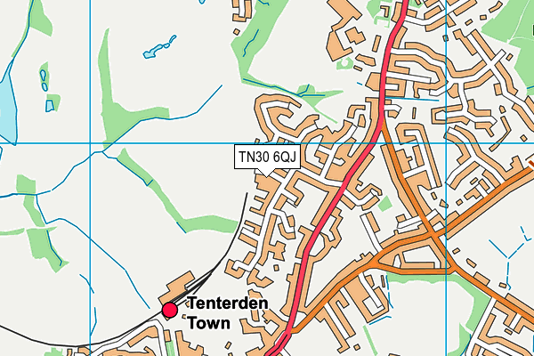 TN30 6QJ map - OS VectorMap District (Ordnance Survey) TN30 6QJ map - OS VectorMap District (Ordnance Survey)