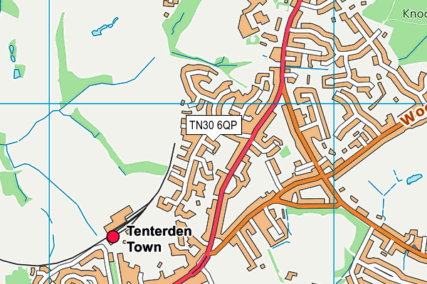 TN30 6QP map - OS VectorMap District (Ordnance Survey) TN30 6QP map - OS VectorMap District (Ordnance Survey)