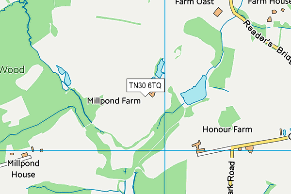 TN30 6TQ map - OS VectorMap District (Ordnance Survey)
