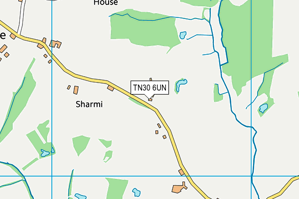 TN30 6UN map - OS VectorMap District (Ordnance Survey) TN30 6UN map - OS VectorMap District (Ordnance Survey)
