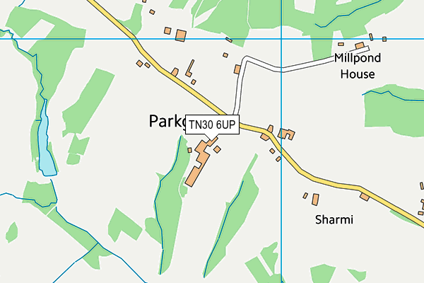 TN30 6UP map - OS VectorMap District (Ordnance Survey) TN30 6UP map - OS VectorMap District (Ordnance Survey)