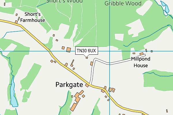 TN30 6UX map - OS VectorMap District (Ordnance Survey) TN30 6UX map - OS VectorMap District (Ordnance Survey)