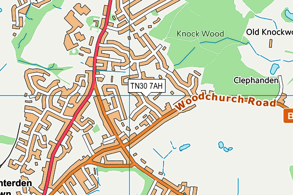 TN30 7AH map - OS VectorMap District (Ordnance Survey) TN30 7AH map - OS VectorMap District (Ordnance Survey)