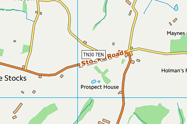 TN30 7EN map - OS VectorMap District (Ordnance Survey) TN30 7EN map - OS VectorMap District (Ordnance Survey)