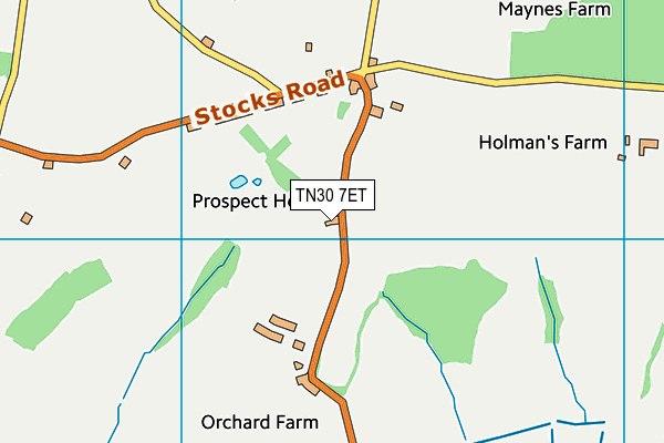 TN30 7ET map - OS VectorMap District (Ordnance Survey) TN30 7ET map - OS VectorMap District (Ordnance Survey)