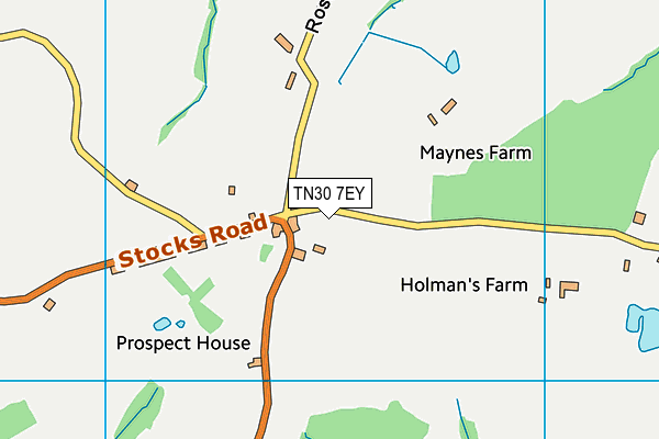 TN30 7EY map - OS VectorMap District (Ordnance Survey) TN30 7EY map - OS VectorMap District (Ordnance Survey)