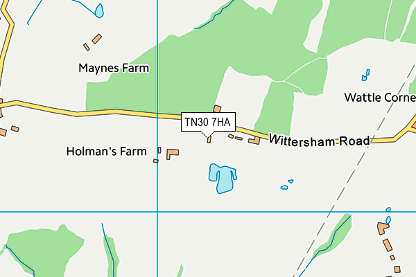 TN30 7HA map - OS VectorMap District (Ordnance Survey) TN30 7HA map - OS VectorMap District (Ordnance Survey)