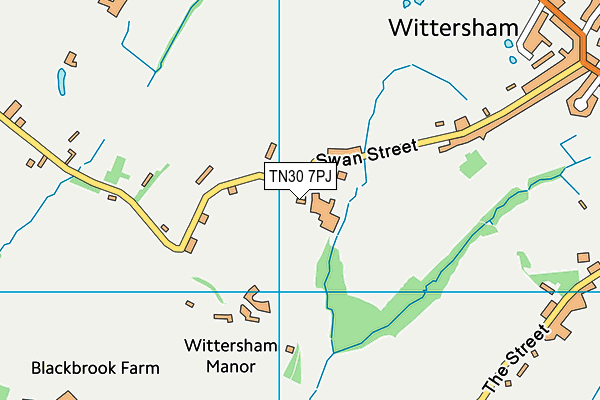 TN30 7PJ map - OS VectorMap District (Ordnance Survey) TN30 7PJ map - OS VectorMap District (Ordnance Survey)