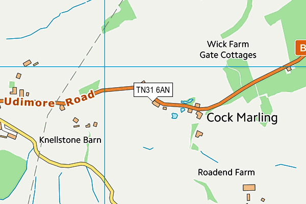 TN31 6AN map - OS VectorMap District (Ordnance Survey) TN31 6AN map - OS VectorMap District (Ordnance Survey)