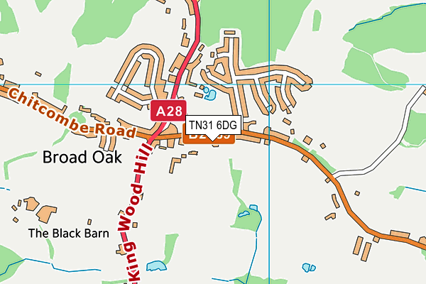 TN31 6DG map - OS VectorMap District (Ordnance Survey) TN31 6DG map - OS VectorMap District (Ordnance Survey)
