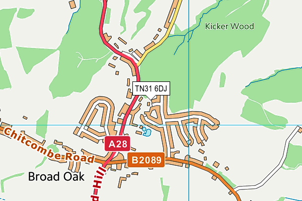 TN31 6DJ map - OS VectorMap District (Ordnance Survey) TN31 6DJ map - OS VectorMap District (Ordnance Survey)