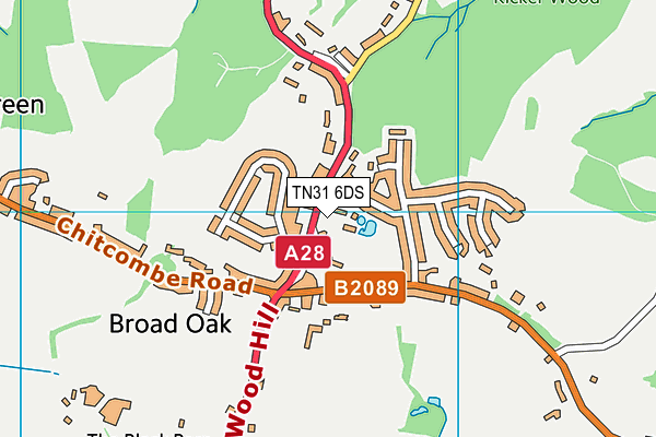 TN31 6DS map - OS VectorMap District (Ordnance Survey) TN31 6DS map - OS VectorMap District (Ordnance Survey)