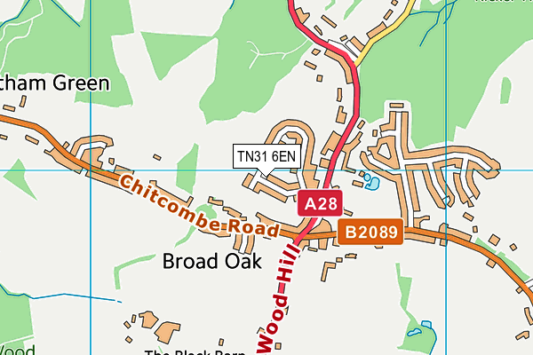 TN31 6EN map - OS VectorMap District (Ordnance Survey) TN31 6EN map - OS VectorMap District (Ordnance Survey)