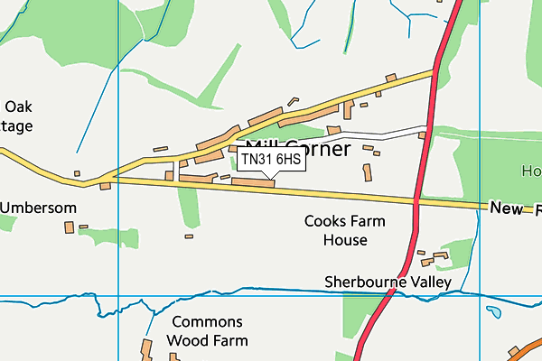 TN31 6HS map - OS VectorMap District (Ordnance Survey) TN31 6HS map - OS VectorMap District (Ordnance Survey)