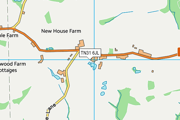 TN31 6JL map - OS VectorMap District (Ordnance Survey) TN31 6JL map - OS VectorMap District (Ordnance Survey)