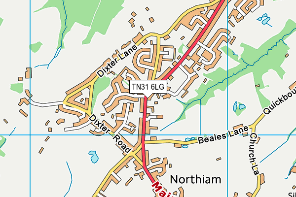 TN31 6LG map - OS VectorMap District (Ordnance Survey) TN31 6LG map - OS VectorMap District (Ordnance Survey)