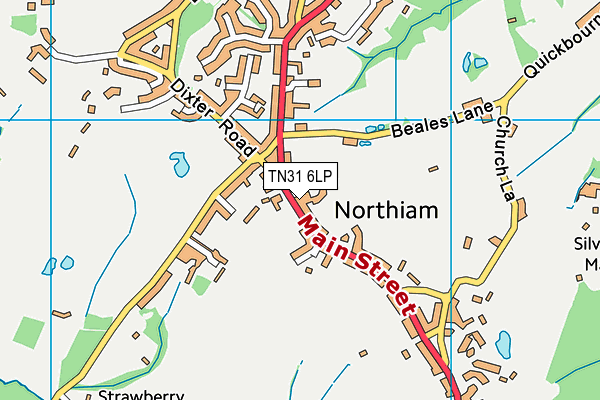 TN31 6LP map - OS VectorMap District (Ordnance Survey) TN31 6LP map - OS VectorMap District (Ordnance Survey)