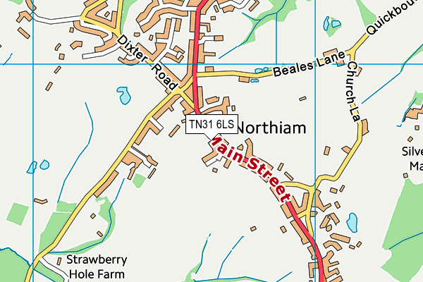 TN31 6LS map - OS VectorMap District (Ordnance Survey) TN31 6LS map - OS VectorMap District (Ordnance Survey)