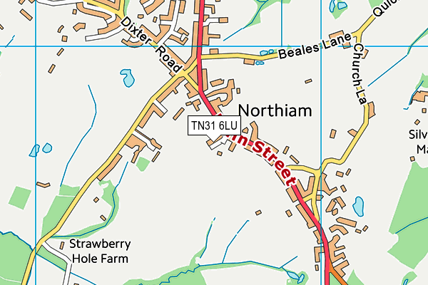 TN31 6LU map - OS VectorMap District (Ordnance Survey) TN31 6LU map - OS VectorMap District (Ordnance Survey)