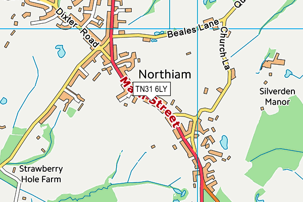 TN31 6LY map - OS VectorMap District (Ordnance Survey) TN31 6LY map - OS VectorMap District (Ordnance Survey)